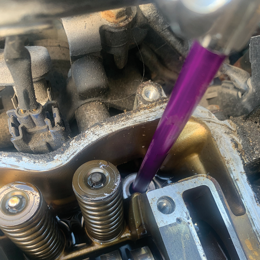 Purple_Action_2